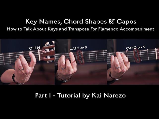 How to Talk About Keys and Transpose For Flamenco Accompaniment - Part 1- Tutorial by Kai Narezo