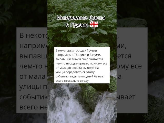 Интересные факты о Грузии#грузия #батуми #тбилиси #интересныефакты