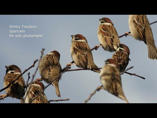 Dmitry Timofeev Sparrows for solo glockenspiel