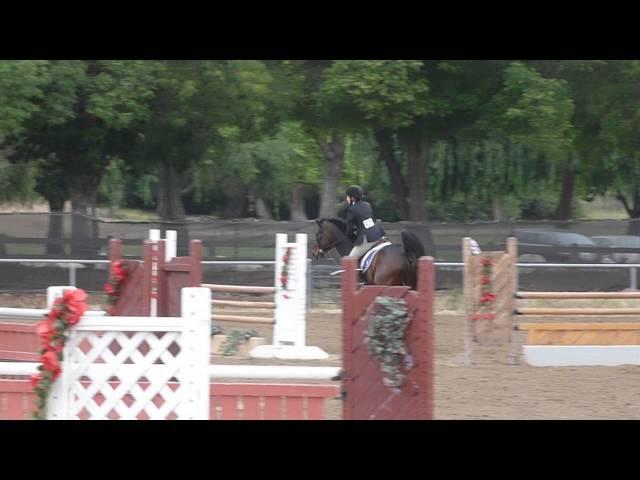 2012-2013 IEL Show #4 - Matti Schulman Varsity IEL Equitation Over Fences