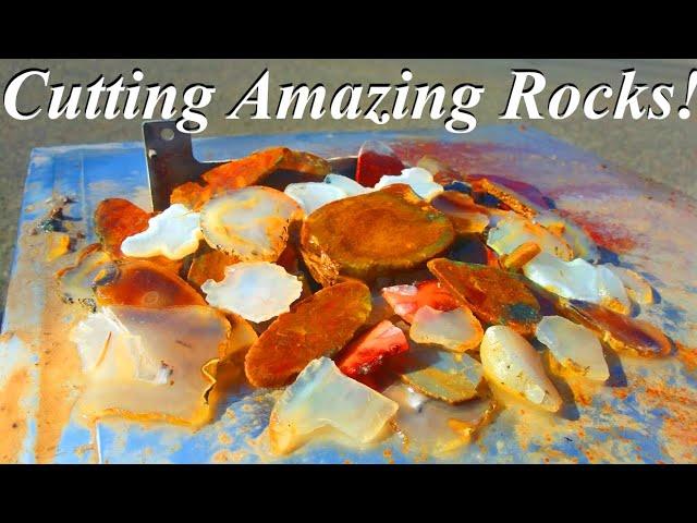 CUTTING Beautiful ROCKS! SLABBING Montana Agates, Plume Agates, Jasper-Agates, and More!