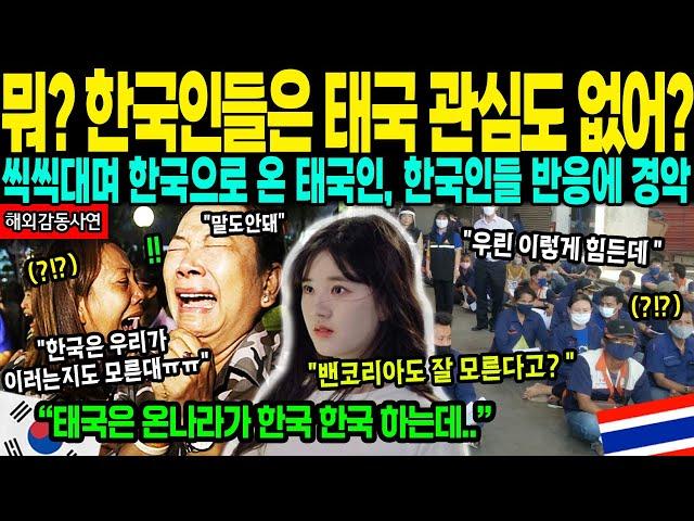 [해외감동사연] "한국인들은 이렇게까지 태국에 무관심하나요?" 씩씩대며 한국으로 온 태국 여기자, 한국인들 반응에 경악하는데..