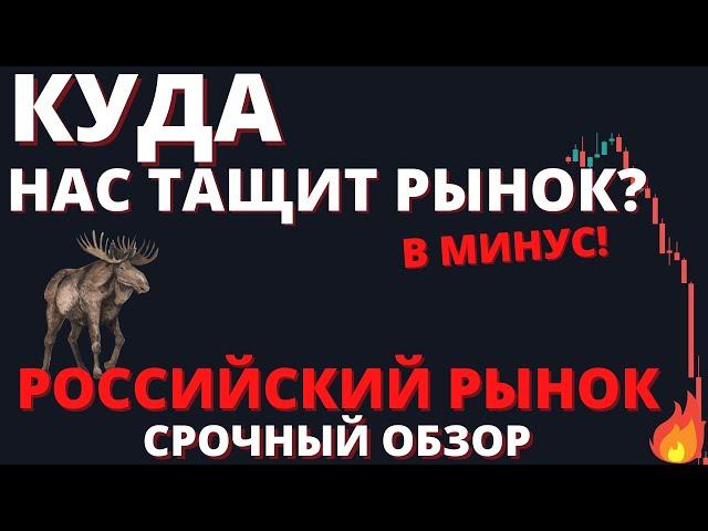 К чему нас готовит рынок? Экстренный обзор. Акции, валюта и экономика