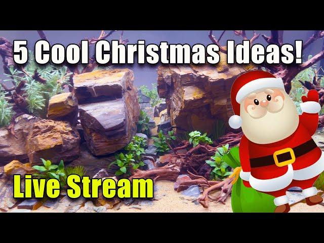 [LIVE]  5 Really Cool Christmas Gift Ideas and Fish Q&A! Plus a Giveaway!