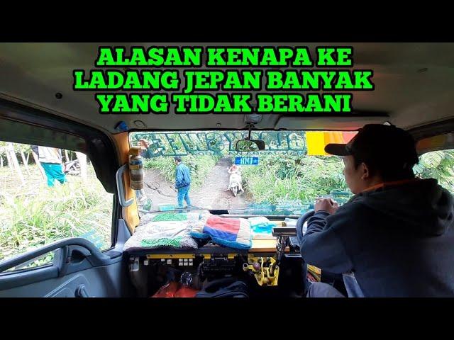 TRIP PERTAMA DI LADANG JIPAN | TRUK BLACKSWEET