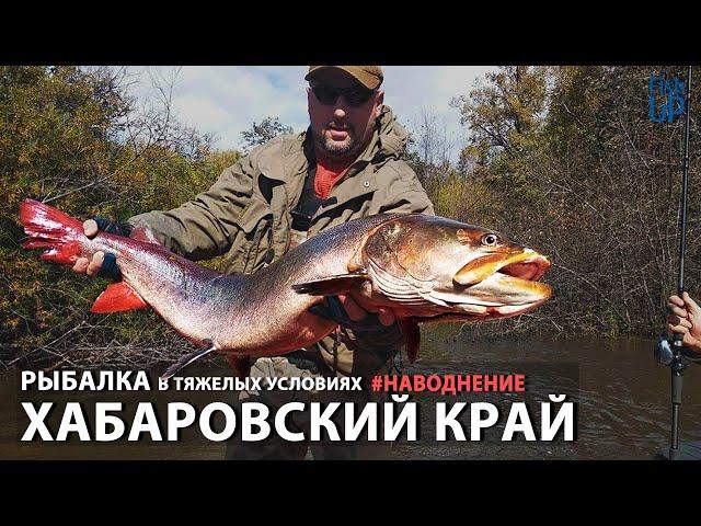 Khabarovsk fishing. Taimen fishing.
