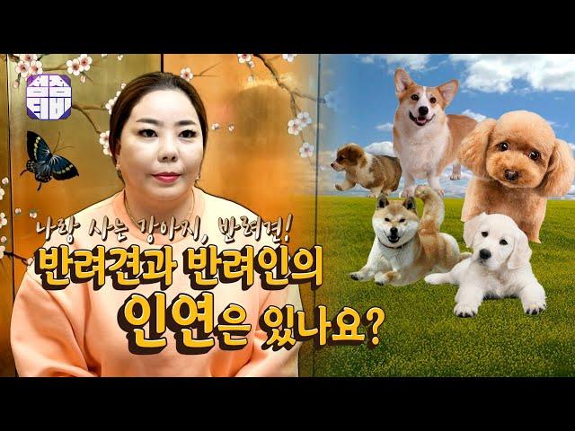 (서울점집) (사주) 반려견과 반려인의 인연은 있나요?!  [점점tv]