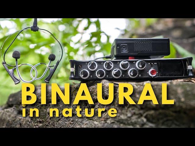 DPA 4560 Binaural In-Ear Microphones in NATURE!