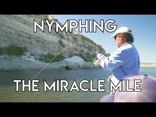 Nymphing the Miracle Mile | Wyoming