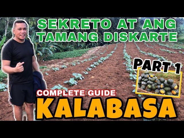 SIPAG AT DISKARTE SA PAGTATANIM NG KALABASA| FIRST TIME KONG MAGTANIM NG KALABASA| PART 1