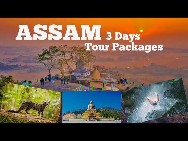 ASSAM FAMOUS PLACES | Top 10 Tourist Places In Assam | Assam Tour Places | Kaziranga National Park