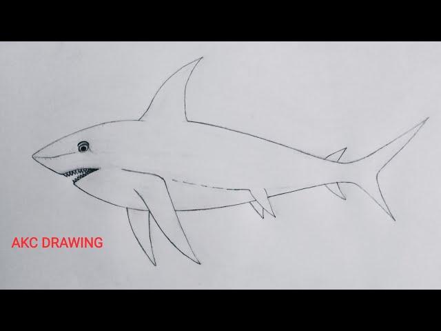 How to draw a Shark, Fish