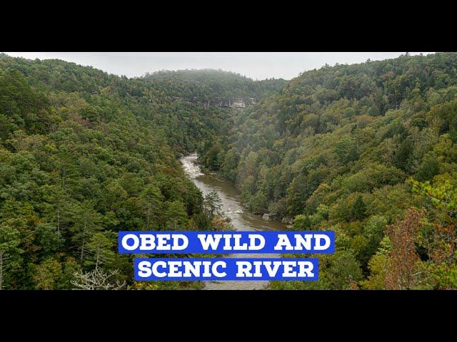 Hiking at Obed Wild and Scenic River | Short hikes to beautiful places