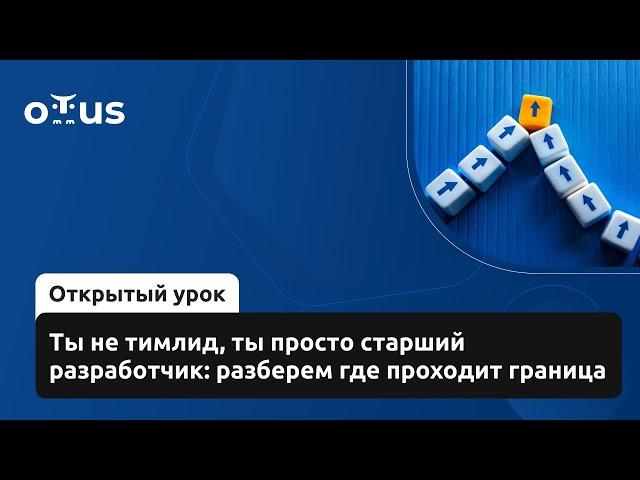 Ты не тимлид, ты просто старший разработчик: разберем где проходит граница // Курс «Team Lead»