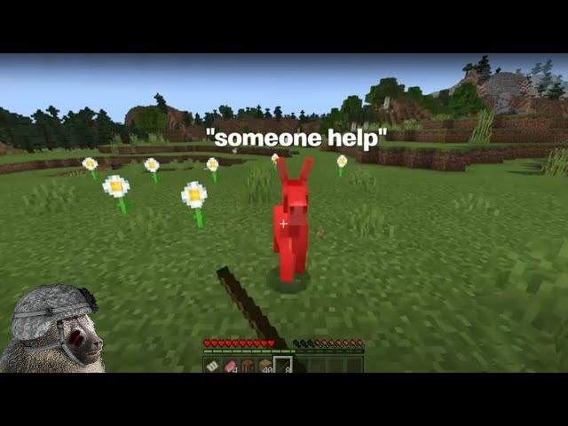My first day in Minecraft... (I found shrek’s donkey)