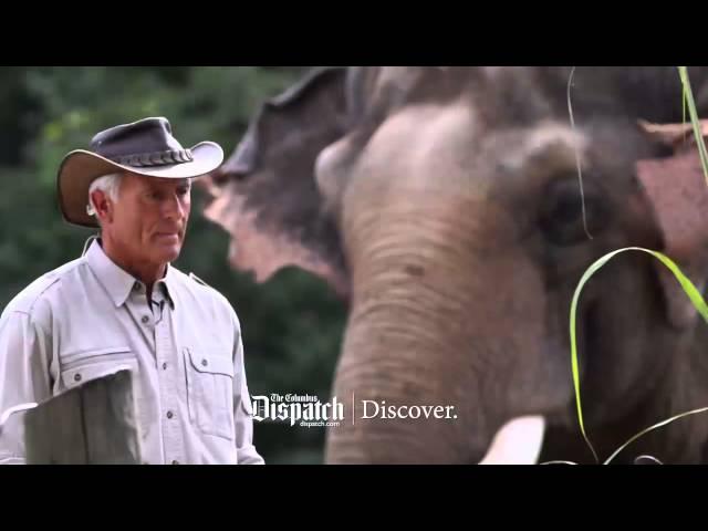 The Columbus Dispatch: Discover