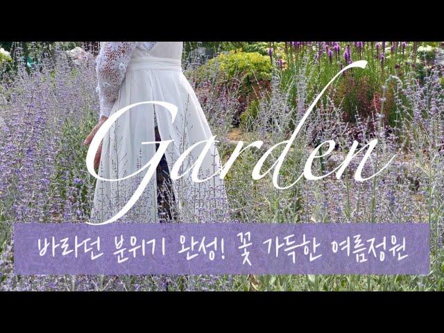 [Garden] 바라던 분위기 완성! 꽃 가득한 여름정원 | 꽃 관리, 채종, 가드닝, 다년초, 허브