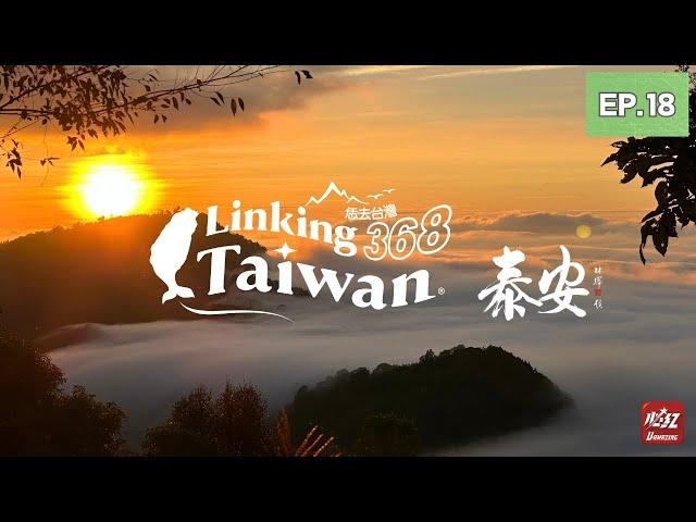 【苗栗泰安】EP18 完整版｜Linking368Taiwan