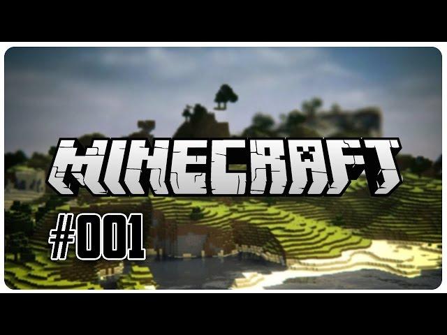 Let's Play Minecraften mit SkippyShisha #001 Einführung/Vorstellung