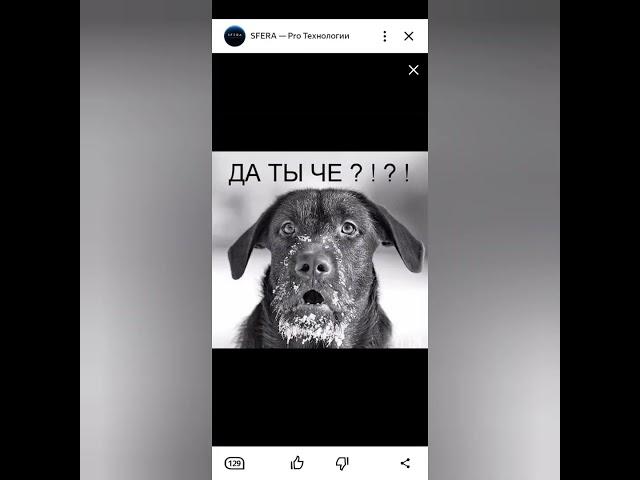 шальная#императрица