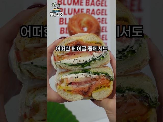 제주공항 근처의 맛집들을 한 자리에 모아봤습니다