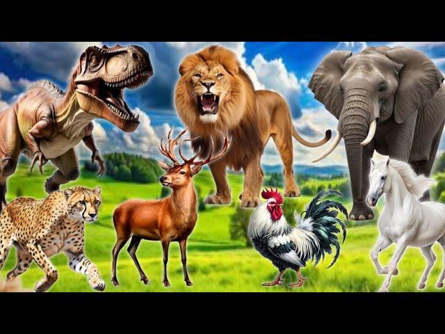 Wild Animals - Dog, Cat, Horse, Lion, Elephant, Dinosaur, Chicken, Leopard,Deer - Wild Animal Sounds