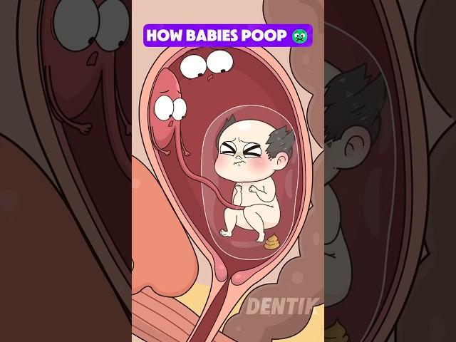 Wait… Babies Poop in the Womb?!  (And Here’s Who Cleans It!)
