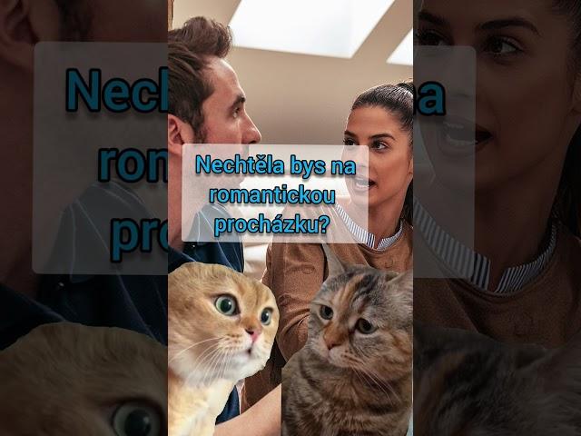 Nechtěla bys vyrazit na romantickou procházku? #vtipy #vtip #duet #humor #zábava #funny