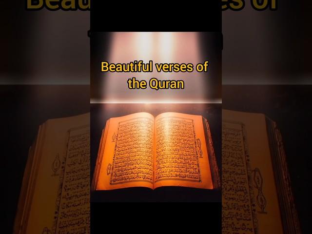 Quran the last Holy book️ #shorts @multimediapk249 #ytshorts #muslim #status