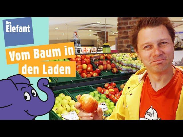 Wie kommen Äpfel in den Supermarkt? | Der Elefant | WDR