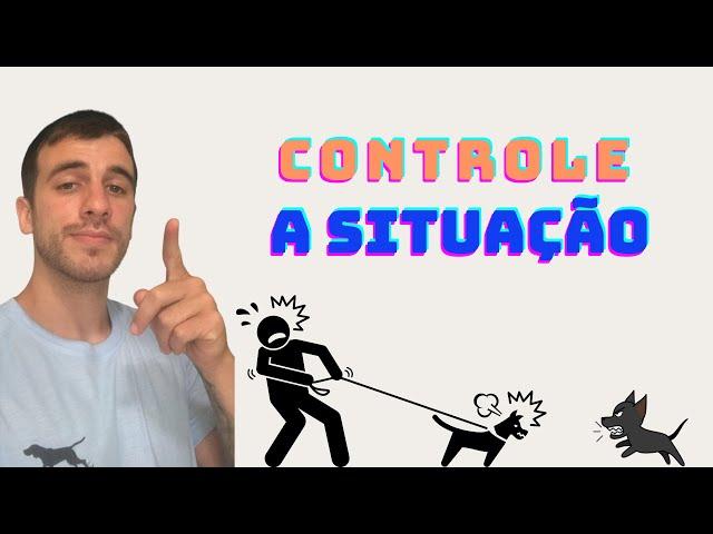 Seu Cão Late e Avança em outros Cães? COMO RESOLVER | Bernardo Adestra