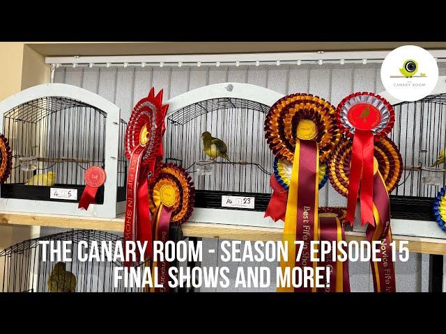 The Canary Room Season 7 Episode 15 - The End of The Shows and 2025 Birds