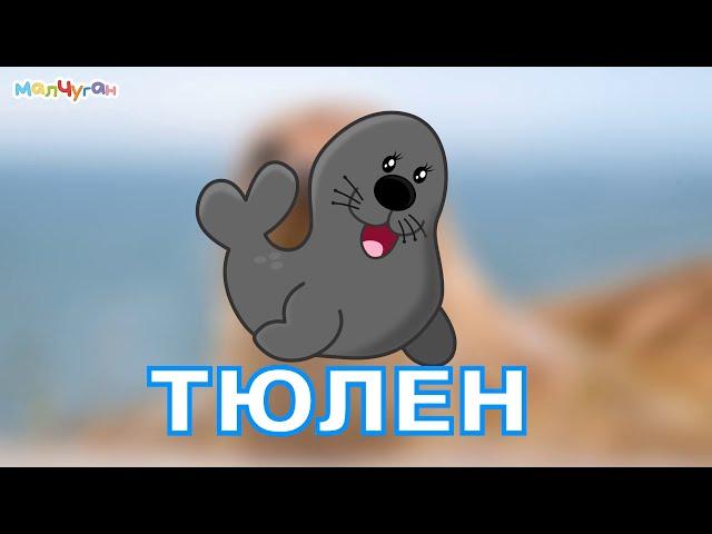 МОРСКИ ЖИВОТНИ | Образователно видео за деца