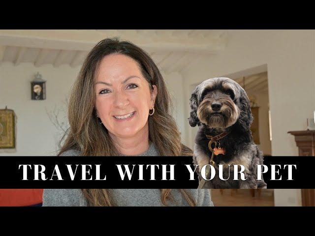 How To Travel Internationally With Your Pet