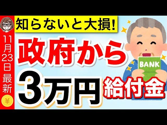 【11月23日最新】政府から3万円給付金！2024年冬の物価高対策を分かりやすく解説【低所得・年金受給者】