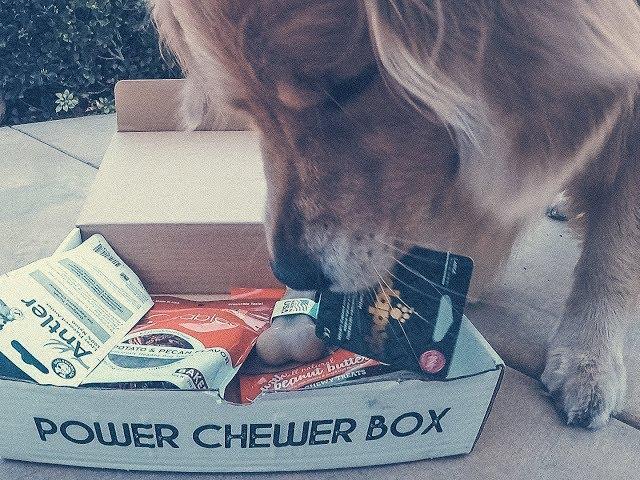 Unboxing Power Chewer Box | Oshies World