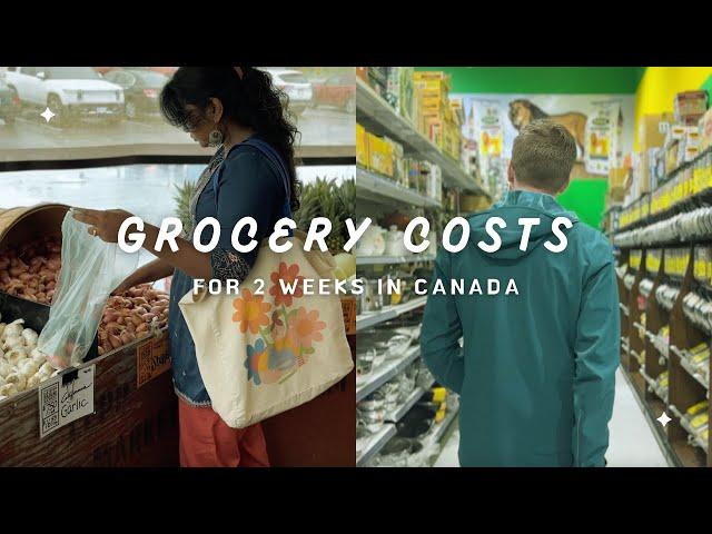 How much does it cost to buy groceries in Canada | Indian living abroad in Canada | Canadian Couple