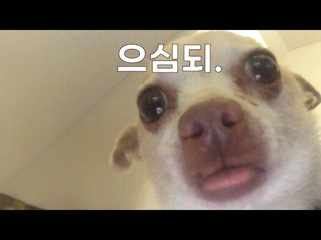 [𝑪𝑪𝑴 𝑷𝒍𝒂𝒚𝒍𝒊𝒔𝒕] 내가 가는 이 길이 맞는지 헷갈릴 때 듣는 찬양