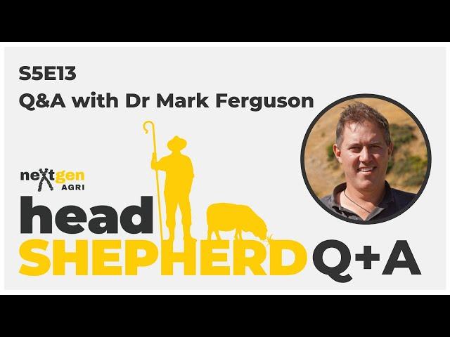 Season 5: Q&A with Dr Mark Ferguson