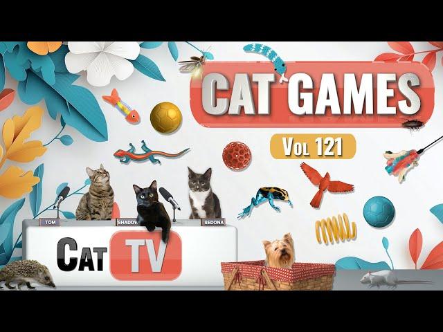 CAT Games | Ultimate Cat TV Compilation Vol 121 | 6 HOURS  