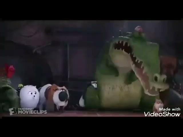 The Secret Life of Pets - You know Tiny Dog ( Viper Death with Playing Piano Scene )