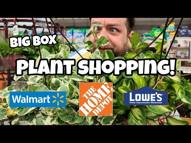 NEW HANGING BASKETS!!  Home Depot, Lowe's & Walmart Plant Shopping in Littleton, NH with David!! 