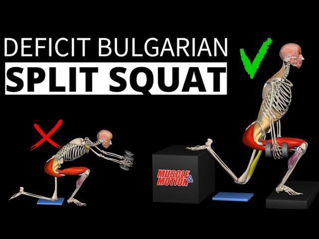 Bulgarian Split Squat Vs. Skater Squat