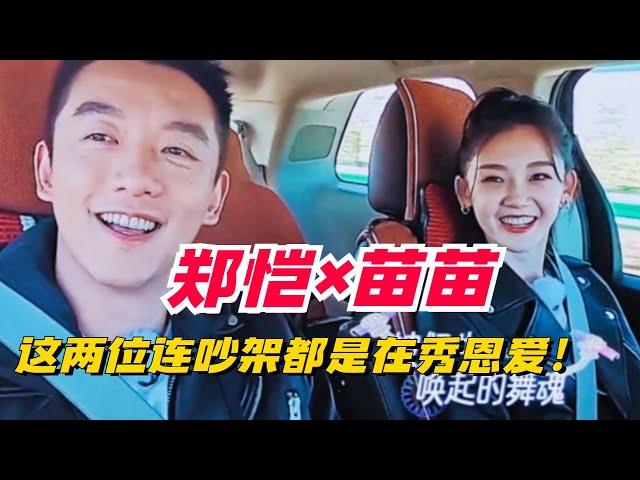 郑恺苗苗拌嘴有多甜？你一言我一语笑掉大牙，果然是真夫妻好嗑！#couple