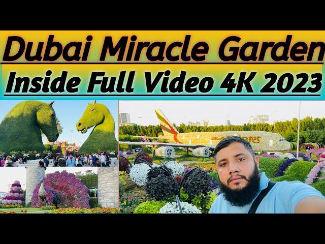 Dubai  Miracle Garden (4K) Walking Tour 15 November 2023 #abubhaidubai #youtube