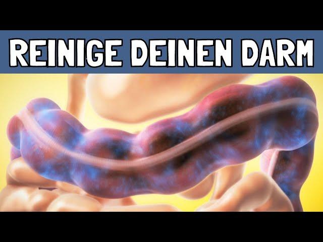 Mit diesen einfachen Tipps reinigst du deinen Darm