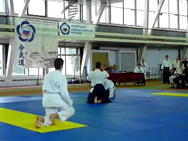 aav_2013.480