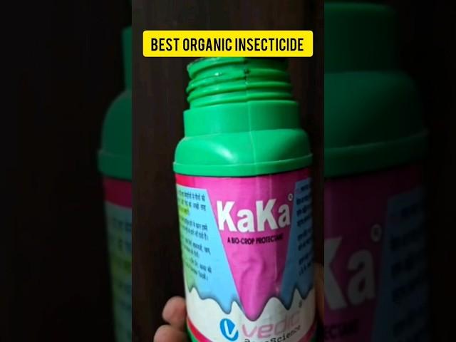 Kaka - The Best Organic Insecticide and Bio-stimulant for Plants #shortvideo #shorts