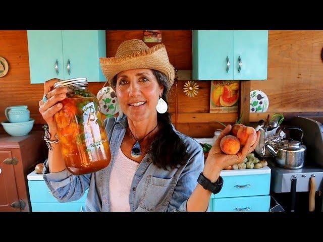 TURN PEACHES OR ANY FRUIT INTO THIS AMAZING DRINK!