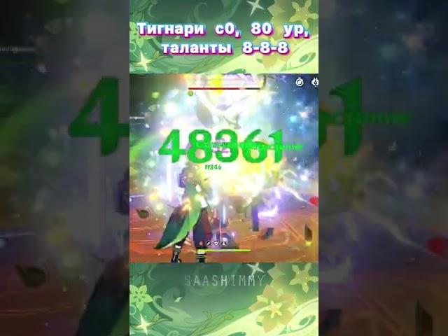 урон Тигнари под баффами | с0, 80 уровень, 8-8-8 | Genshin Impact